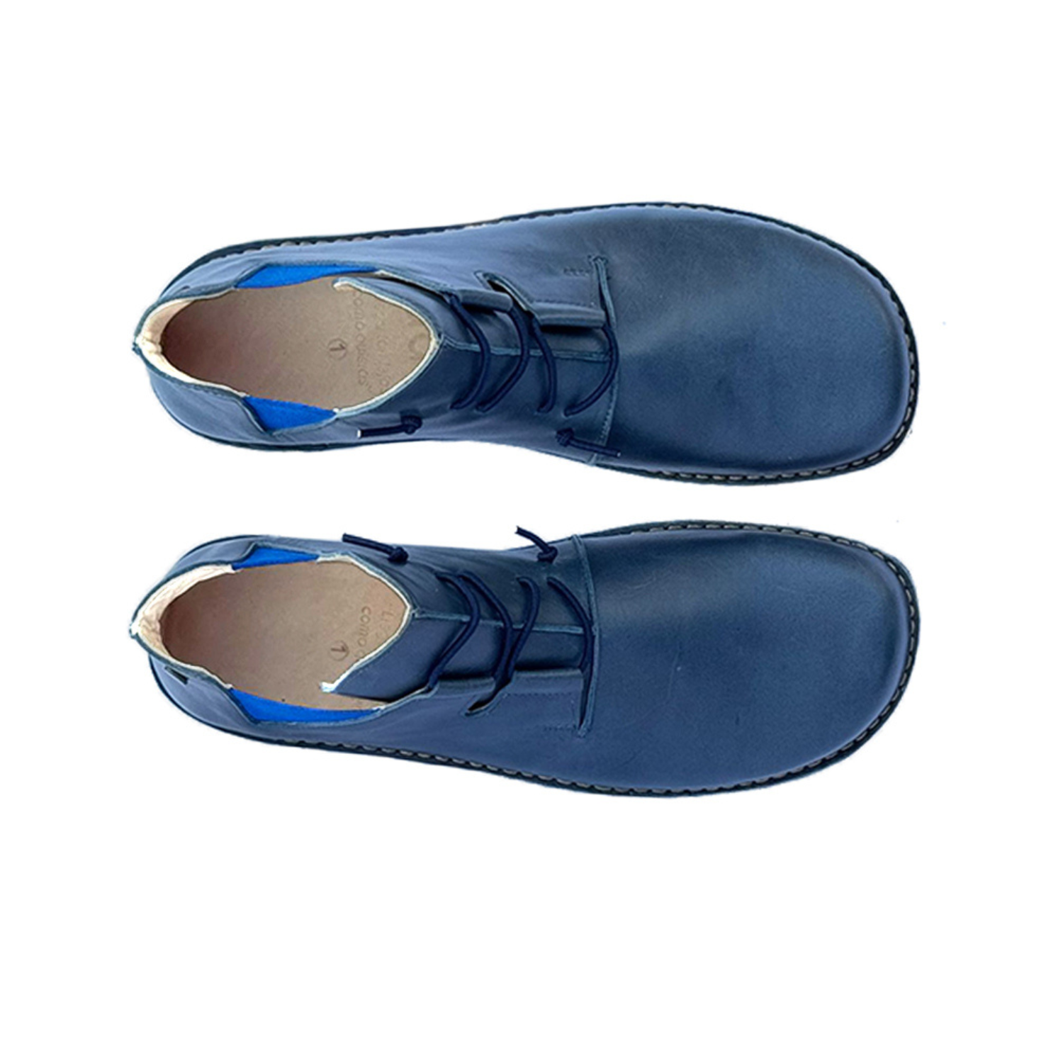 Zapato Magovi Hombre Azul Cobalto