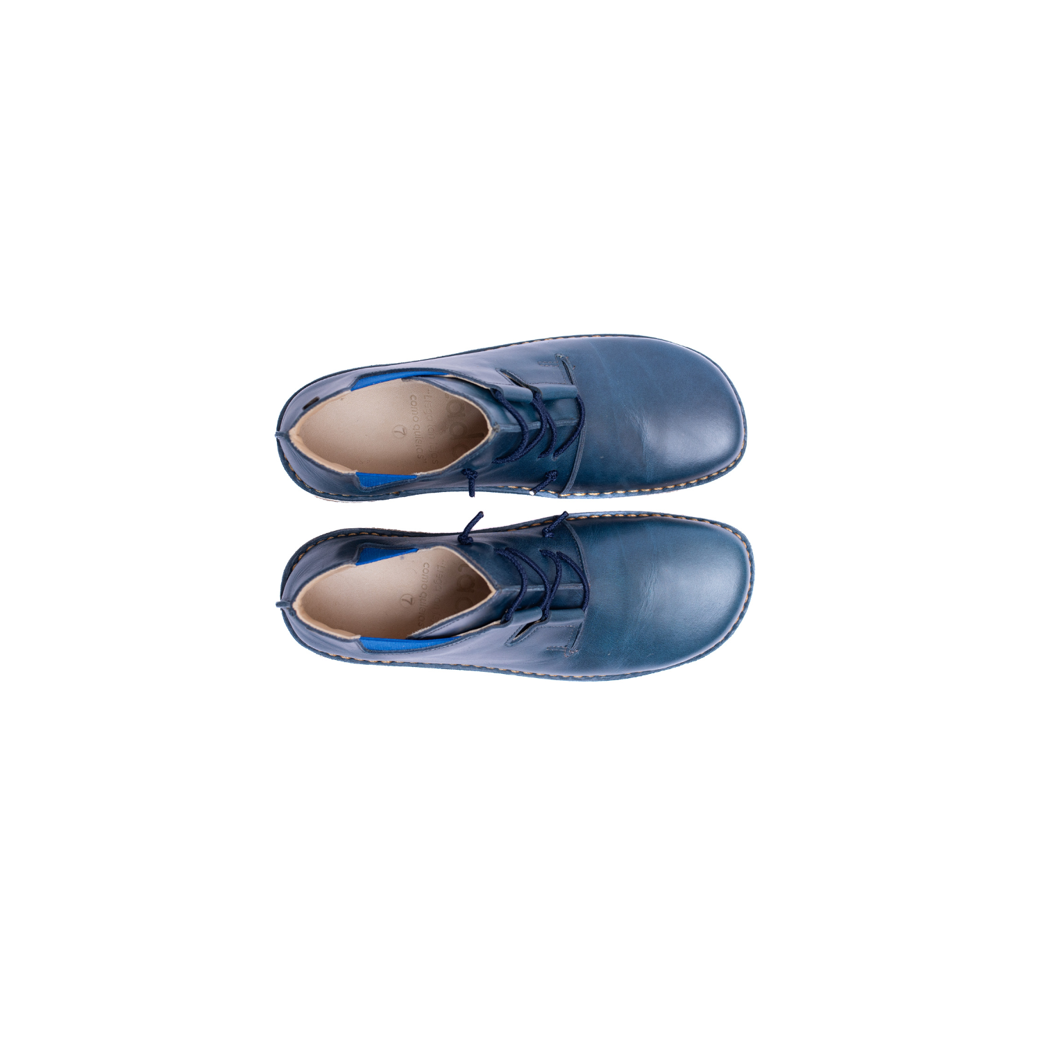 Zapato Magovi Mujer Azul Cobalto