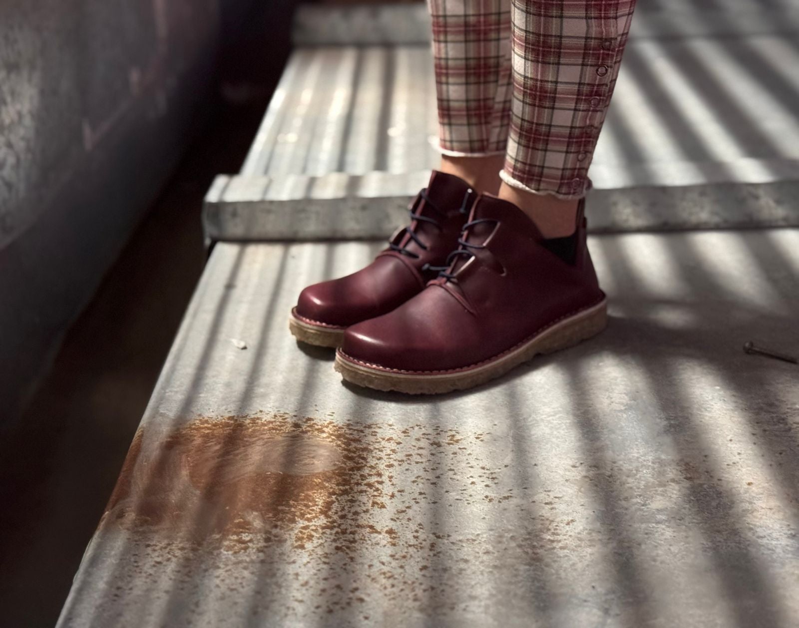 Zapato Magovi Mujer Burdeo Liso