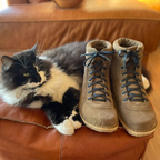 Botín Alpino Hombre Reno Taupe