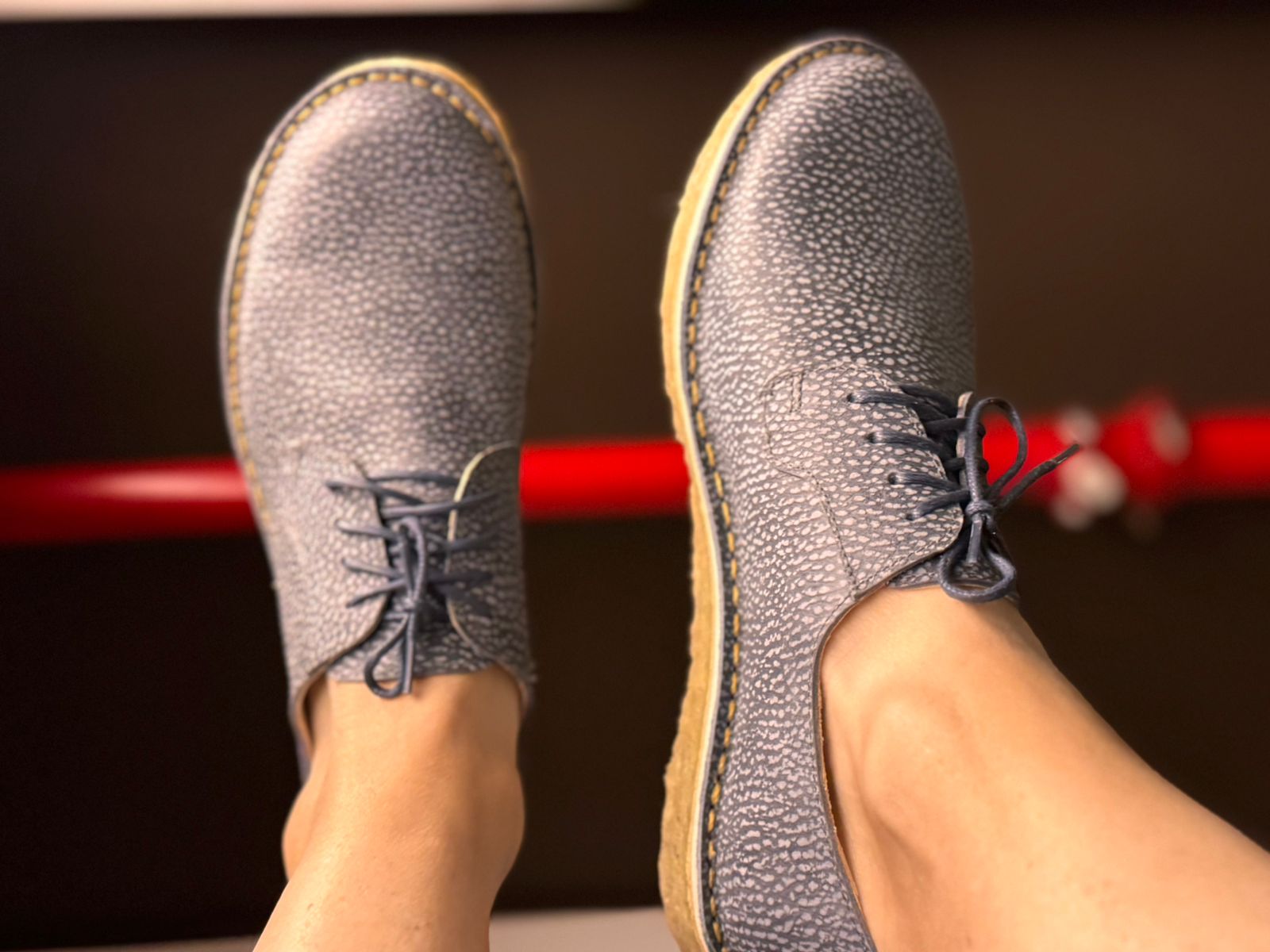 Zapato Derby Elefante Mujer