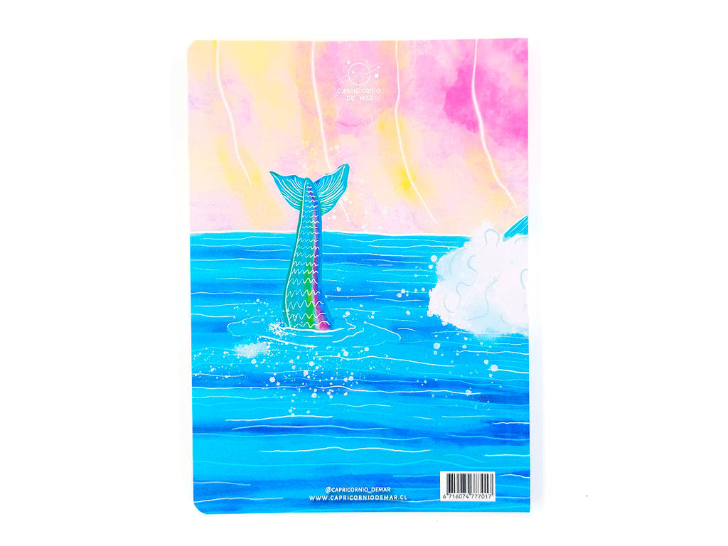 Cuaderno Surfista