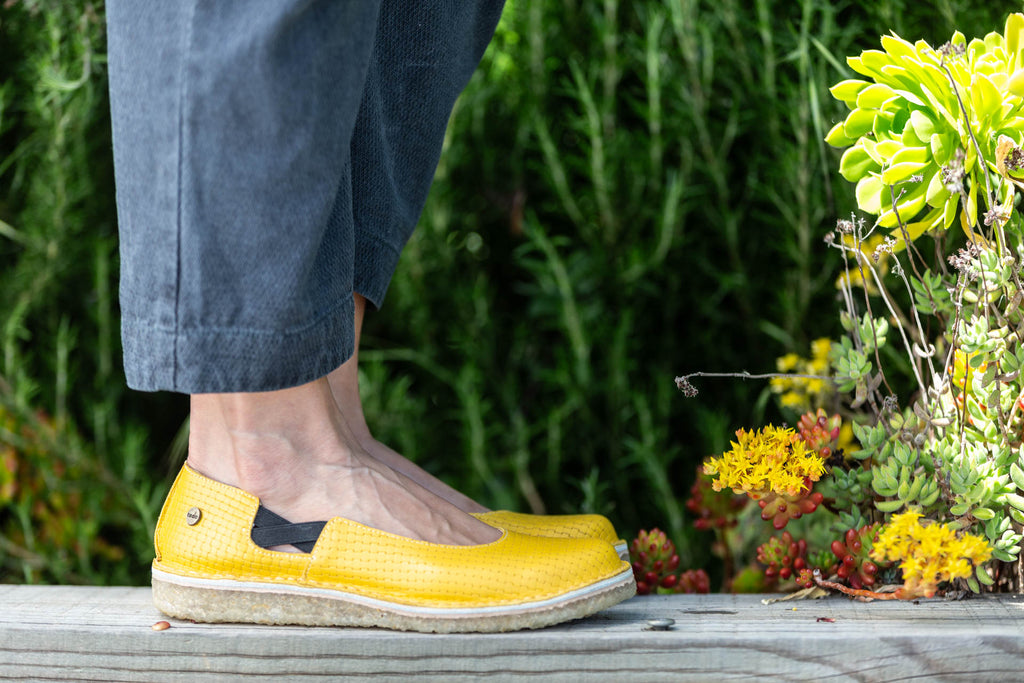 Zapato Reina Mujer Amarillo