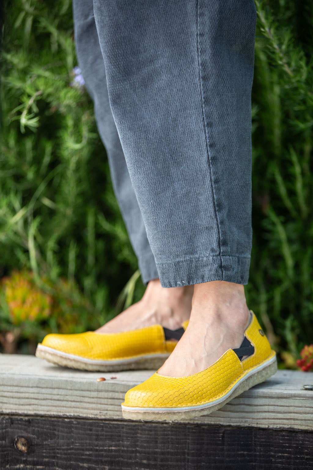 Zapato Reina Mujer Amarillo