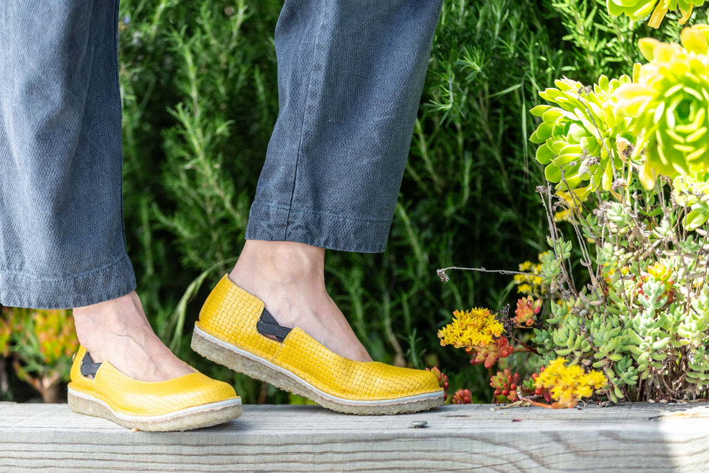 Zapato Reina Mujer Amarillo