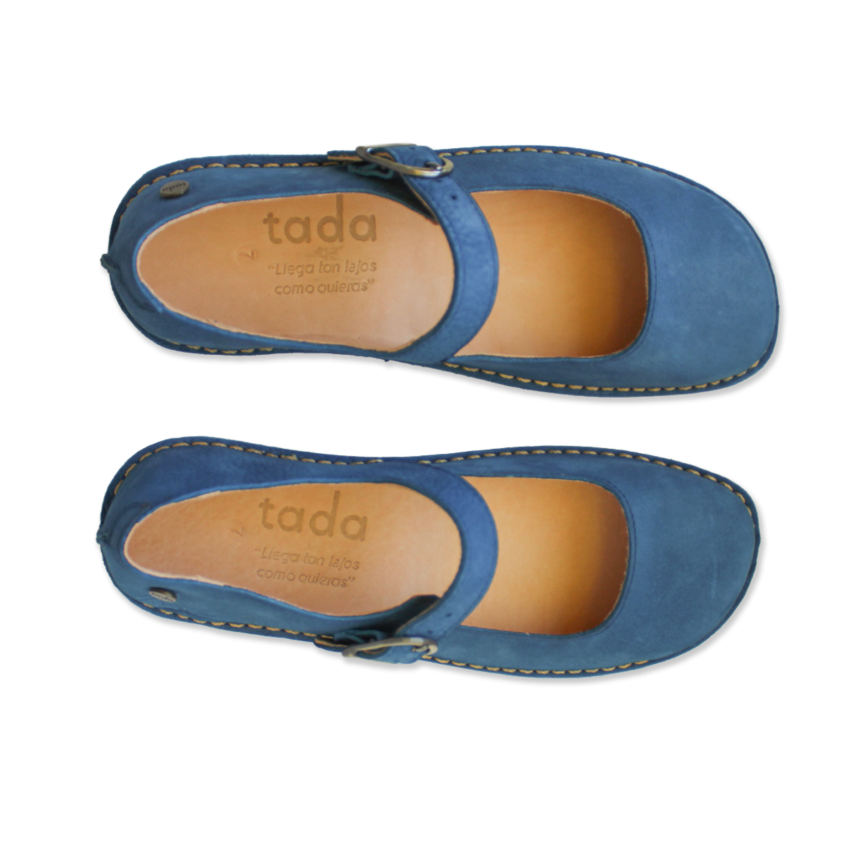 Zapato Flora Azul Rey
